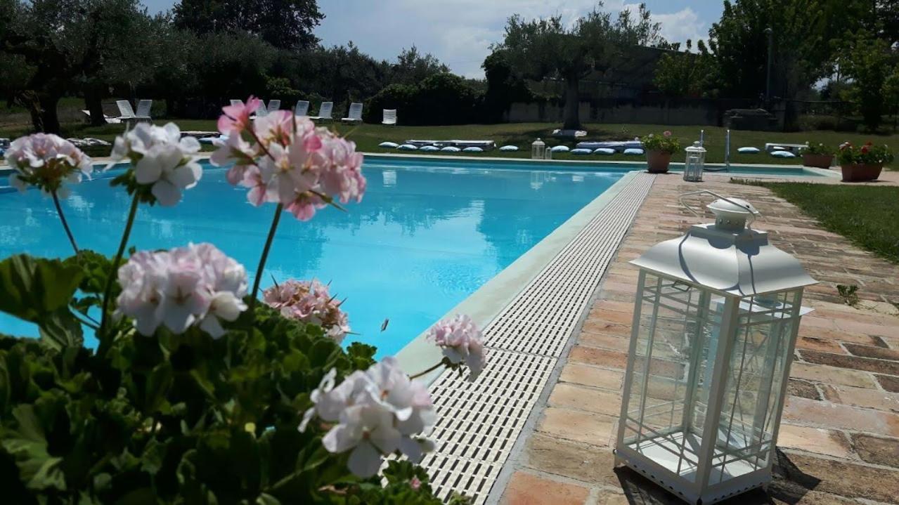 Agriturismo Torre Mannella - La Loggia Citta Sant'Angelo Zewnętrze zdjęcie