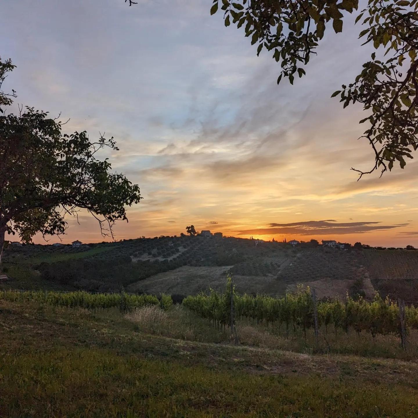 Agriturismo Torre Mannella - La Loggia Citta Sant'Angelo Zewnętrze zdjęcie